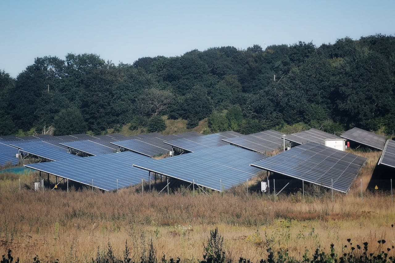 A wide view of solar panels in an open field, showcasing sustainable energy solutions.